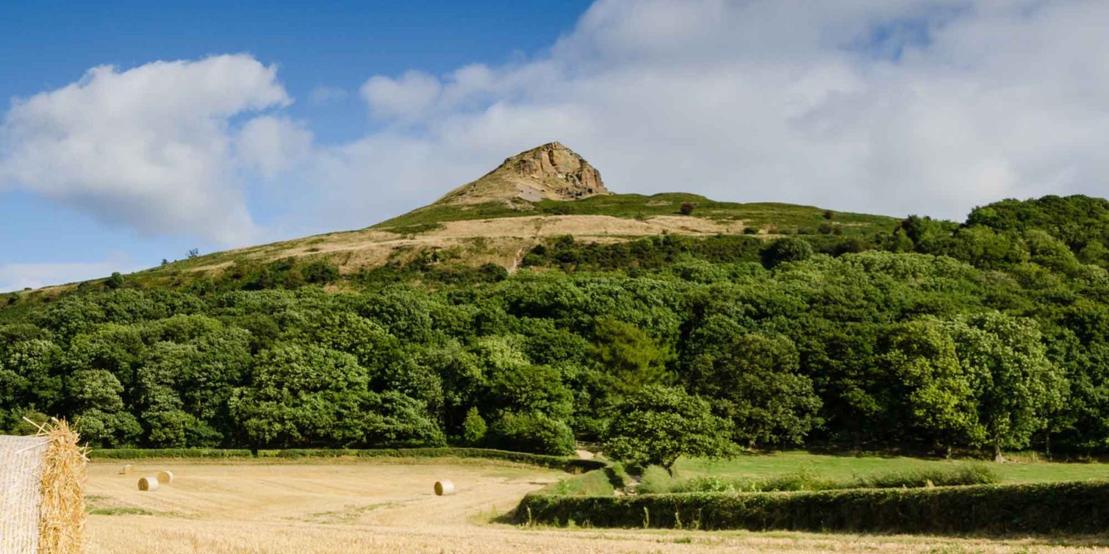 Joslin Rhodes - View of Roseberry Topping under a blue sky with clouds, surrounded by greenery and trees.
