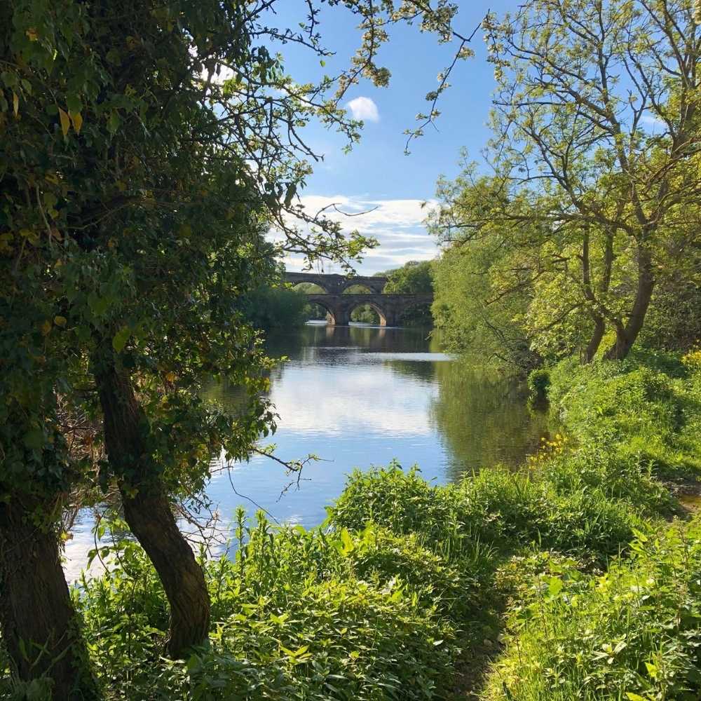 Scenic view of Yarm with trees in the foreground, the River Tees flowing through, and a historic bridge in the background.