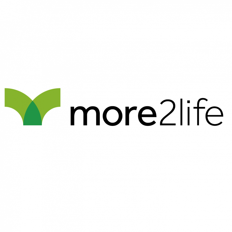 More2Life Logo